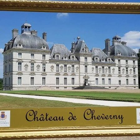 Les Capucines Proche Beauval & Chateaux Сент-Еньян Екстер'єр фото