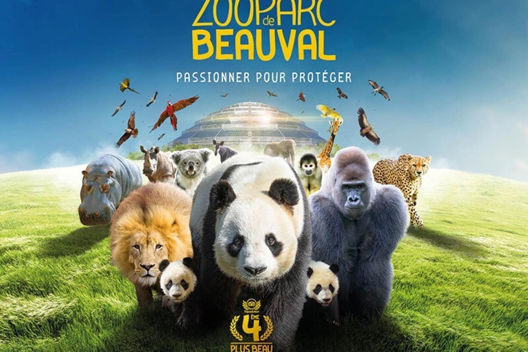 Les Capucines Proche Beauval & Chateaux Сент-Еньян Екстер'єр фото